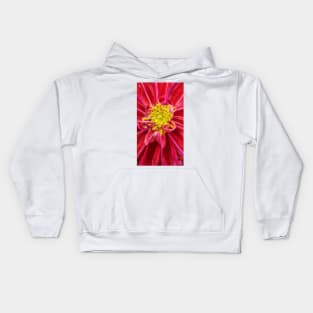 closeup macro photography of bright red dahlia bloom with pollen filled yellow center Kids Hoodie